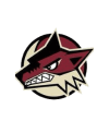 Coyotes Hockey Club Logo